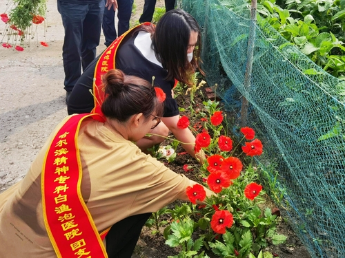 前往所有村民家发放禁毒宣传单,并向村民们传达"国家不允许种植罂粟"